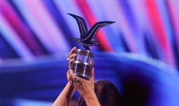 Gaviota de Platino 2026: ¿Cuáles son los requisitos para llevarse el preciado galardón?