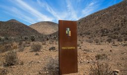 “Sorprende y desilusiona”: Andes Iron tras fallo que anula resolución del Primer Tribunal Ambiental sobre Dominga