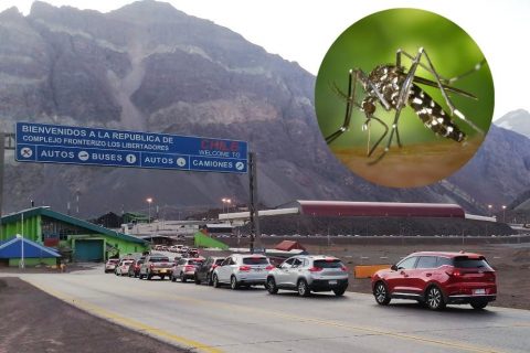 Anuncian cierre temporal del Paso Los Libertadores por hallazgo de mosquito del dengue