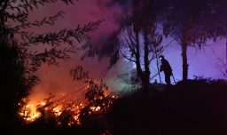 Senapred eleva a Alerta Roja en Nueva Imperial por incendio forestal "Boroa" que afecta 10 hectáreas