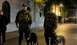 Carabineros detiene a 17 personas tras operativo nocturno en barrios bohemios de Santiago