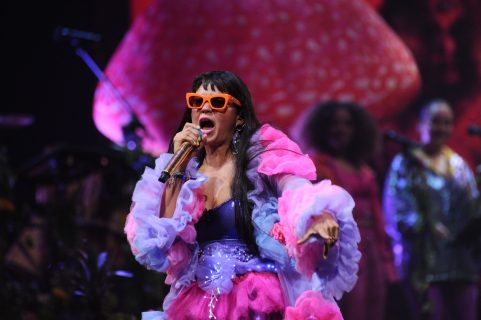 "No es culpa de ellos": Cibernautas lamentan que show de Bomba Estereo se dé en una Quinta semivacía