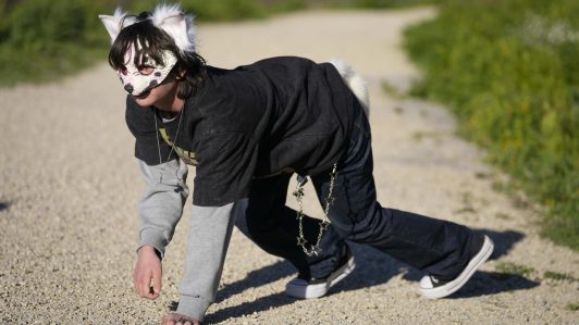 Fenómeno “therian”: Red Nacional de Salud advierte riesgos por adoptar posturas no humanas