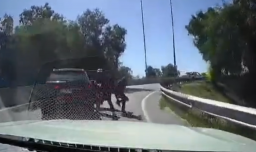 Intento de encerrona en Quilicura queda grabado: Conductor atropella a asaltante y logra escapar