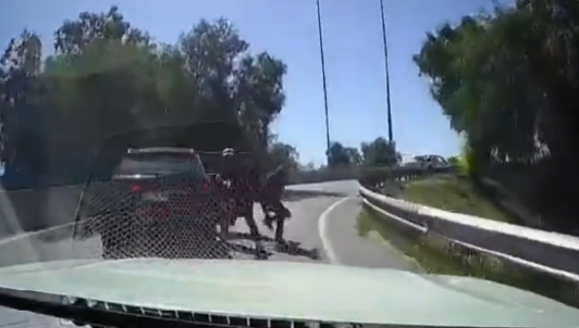 Intento de encerrona en Quilicura queda grabado: Conductor atropella a asaltante y logra escapar