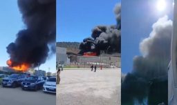 Incendio afecta planta Verfrut en Las Cabras: Seremi de Salud emitió alerta por columna de humo