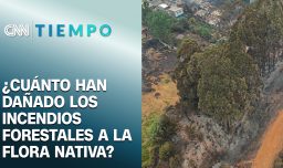 ¿Cuánto han afectado los incendios forestales a la flora nativa? | CNN Tiempo