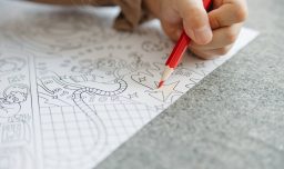 Sernac alerta por venta de lápices falsificados en Barrio Meiggs: “Pueden contener metales pesados y pinturas tóxicas”