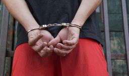 Cuatro chilenos son detenidos en Austria por robar mansiones: También cometieron asaltos en Suiza, Luxemburgo, Francia y Alemania