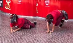 Soy psicóloga y te explico qué hacer y cómo reaccionar si tu hijo decide ser Therian