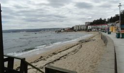 Estaba el fundador de "El Honesto Mike", su padre y su pareja: Estas son las víctimas de la tragedia en Algarrobo