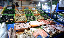 Por aumento de consumo de pescados y mariscos en Semana Santa: ISP refuerza llamado a prevenir intoxicaciones por marea roja