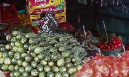 Alza de combustibles: Asociación de Ferias Libres advierte aumento en el precio de las verduras