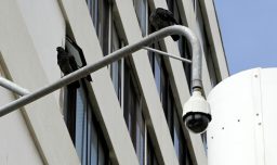 Contraloría detectó deficiencias en sistemas de televigilancia en municipios de RM y Biobío