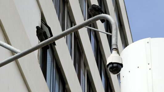 Contraloría detectó deficiencias en sistemas de televigilancia en municipios de RM y Biobío