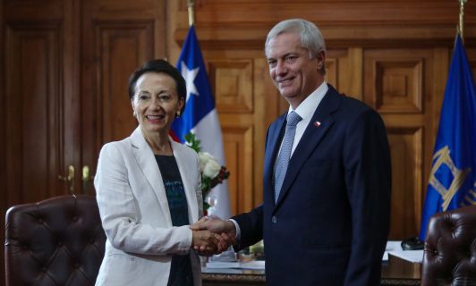 Presidenta de la Corte Suprema y figura de indultos presidenciales a delincuentes: "Yo creo que debe ser eliminada"