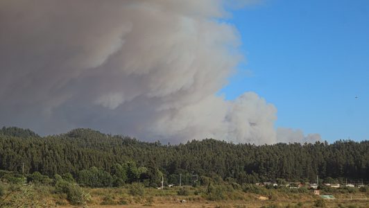 Declaran Alerta Roja en la comuna de San Fernando por incendio forestal