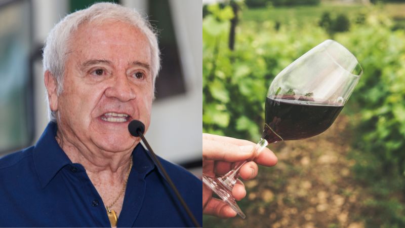 Panoramas gratuitos este 28 y 29 de marzo: La Nueva Ola en Ñuñoa, Fiesta de la Vendimia en Melipilla e Isla de Maipo y actividades en Providencia