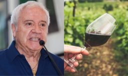 Panoramas gratuitos este 28 y 29 de marzo: La Nueva Ola en Ñuñoa, Fiesta de la Vendimia en Melipilla e Isla de Maipo y actividades en Providencia