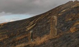 Incendio forestal en Rapa Nui afecta más de 20 hectáreas en sector Rano Kau y moviliza a equipos de emergencia