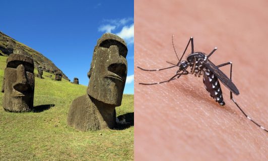 Ministerio de Salud confirma brote de dengue en Rapa Nui: Hay 4 casos positivos y otros 5 sospechosos