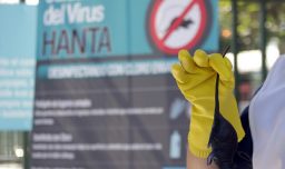 Niña de 7 años fallece por contagio de hanta virus en Hijuelas