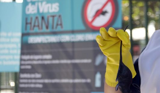Niña de 7 años fallece por contagio de hanta virus en Hijuelas