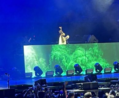 HorsegiirL desbocó el Perry's Stage: la DJ "therian" convirtió su show en una fiesta de representación y ritmos hipnóticos