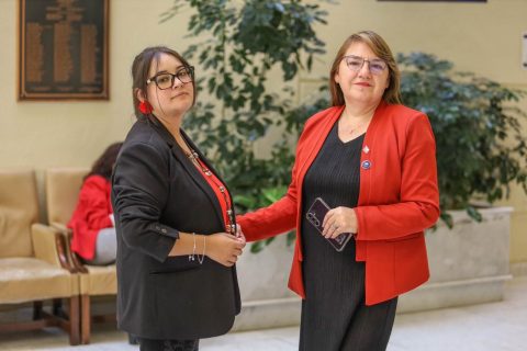 "Pedirle la renuncia de esta manera no es empático": Diputadas del PDG emplazan al Gobierno por salida de directora de SernamEG
