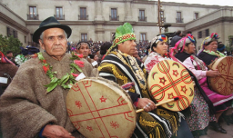 Ajuste fiscal golpea al Ministerio de Bienes Nacionales: Gobierno elimina Unidad de Pueblos Indígenas