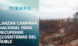 Corporación Cultiva lanza campaña para la recuperación de ecosistemas nativos del sur de Chile | CNN Tiempo