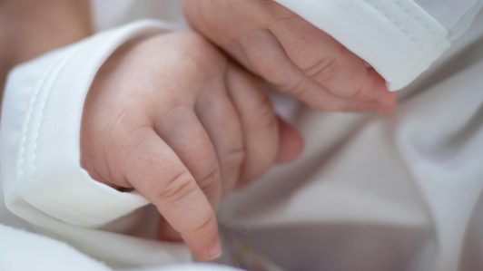 INE reporta que nacimientos registraron alza de 1% respecto a diciembre de 2024