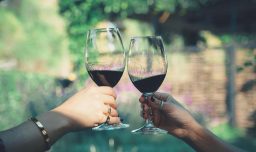 Panoramas de abril 2026: Fiestas de la Vendimia en Ñuñoa, Providencia, Pirque y distintas regiones