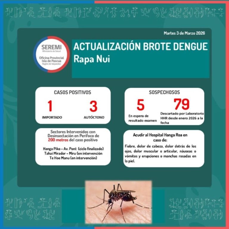 Ministerio de Salud confirma brote de dengue en Rapa Nui: Hay 4 casos positivos y otros 5 sospechosos