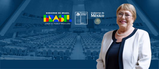 Sitio web para promocionar la candidatura de Michelle Bachelet para la Secretaría General de Naciones Unidas