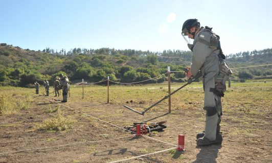 Exuniformado es condenado por fraude al fisco en desminado de la frontera: Además deberá pagar una multa de más de $140 millones