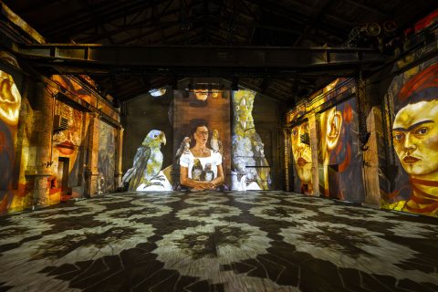 “Viva Frida Kahlo” llega a Santiago: Cuándo abre y cómo será la experiencia inmersiva