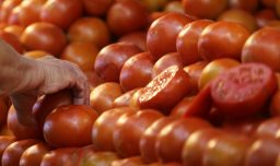 Alza de combustibles impactará en ferias libres: Anticipan aumento en papas, tomates, huevos y legumbres