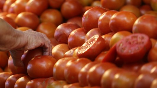 Alza de combustibles impactará en ferias libres: Anticipan aumento en papas, tomates, huevos y legumbres