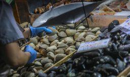 Semana Santa: Sernac fiscalizará estado de pescados y mariscos congelados