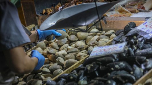 Semana Santa: Sernac fiscalizará estado de pescados y mariscos congelados