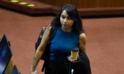 Ley de Reconstrucción: Diputada Schönhaut dice que "no es sostenible en el tiempo" y "un cheque en blanco"