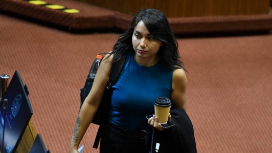 Ley de Reconstrucción: Diputada Schönhaut dice que "no es sostenible en el tiempo" y "un cheque en blanco"