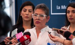 Ministro Alvarado dice que se "pausará" despido de Priscilla Carrasco de SernamEG: Se recibió licencia después de la remoción y "tendría efectos anteriores"