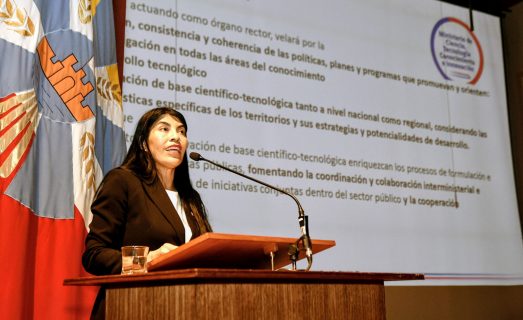 “Nunca anunciamos que íbamos a cortar Becas Chile”: Ministra Lincolao aclara que medida sigue en evaluación