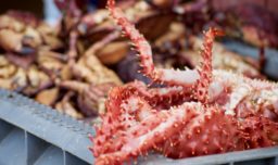 Denunciante de colusión de siete procesadoras de centolla en Magallanes: "Los gerentes coordinaban los precios"
