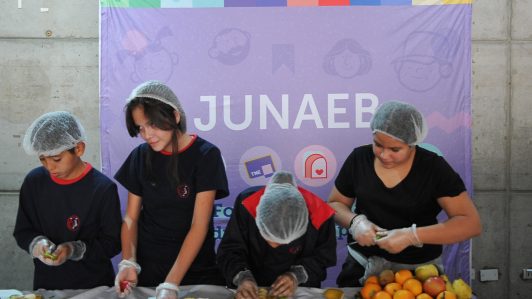 Exseremi del Biobío asume como nuevo director nacional de la Junaeb