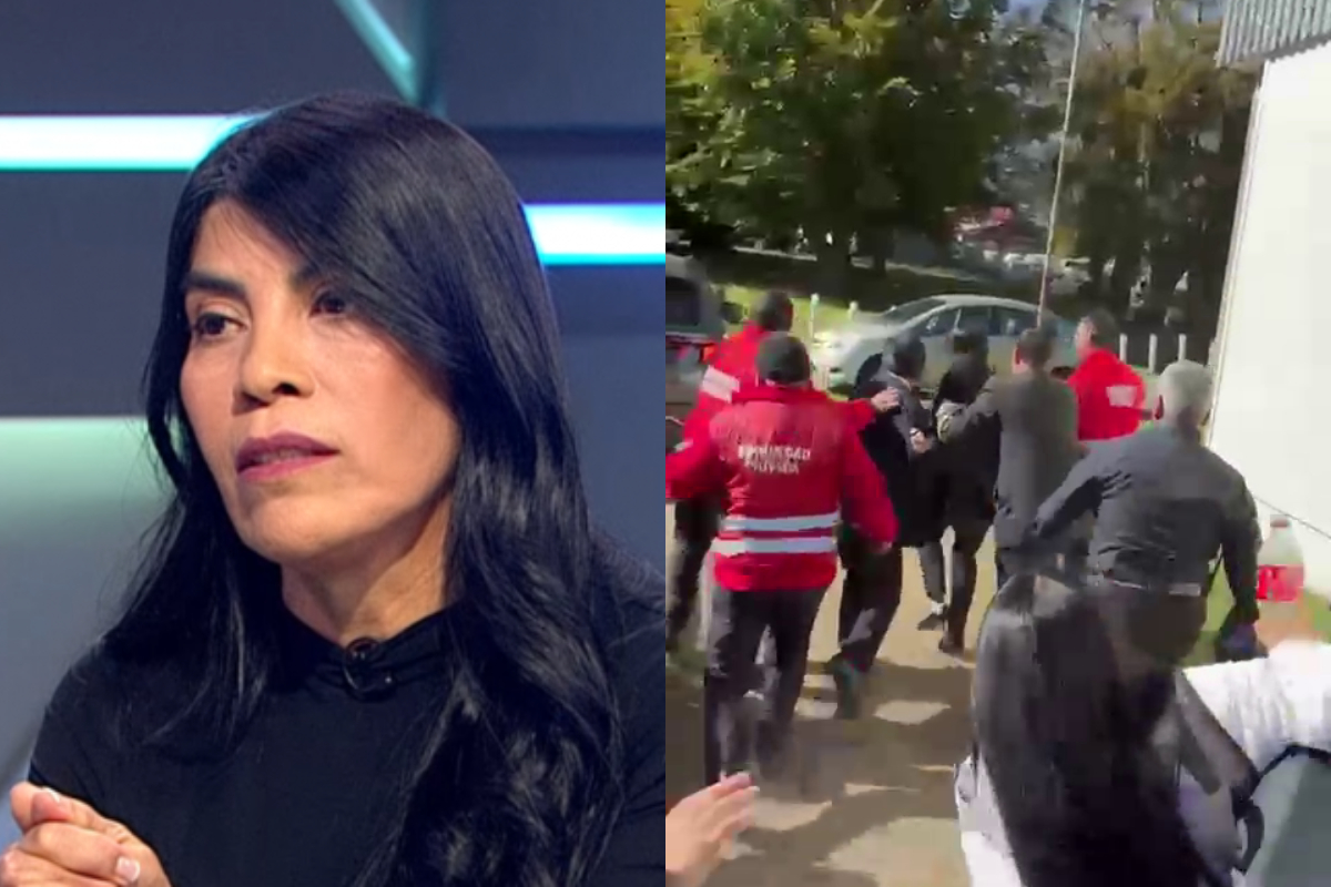 Gobierno anuncia querella por agresión a ministra Ximena Linconao: “No nos van a amedrentar”