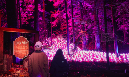 "Harry Potter: La experiencia del Bosque Prohibido" debutará en el Parque Quinta Normal: ¿Cuándo es el evento?