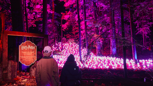 "Harry Potter: La experiencia del Bosque Prohibido" debutará en el Parque Quinta Normal: ¿Cuándo es el evento?